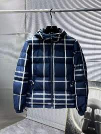 Picture of Burberry Down Jackets _SKUBurberryM-3XL25wr4638004